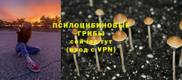 скорость Алексеевка