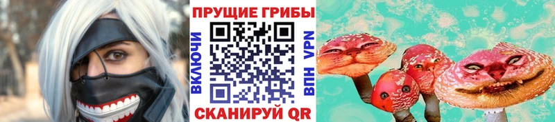 купить закладку  Павловская  Галлюциногенные грибы MAGIC MUSHROOMS 